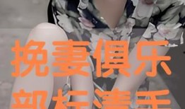 挽妻俱乐部在线观看,情感救赎之旅